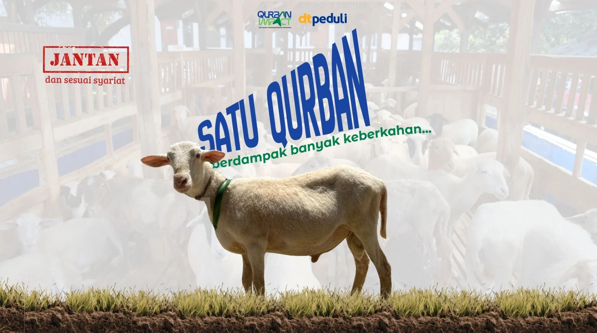 Domba / Kambing Hemat 1 Ekor
