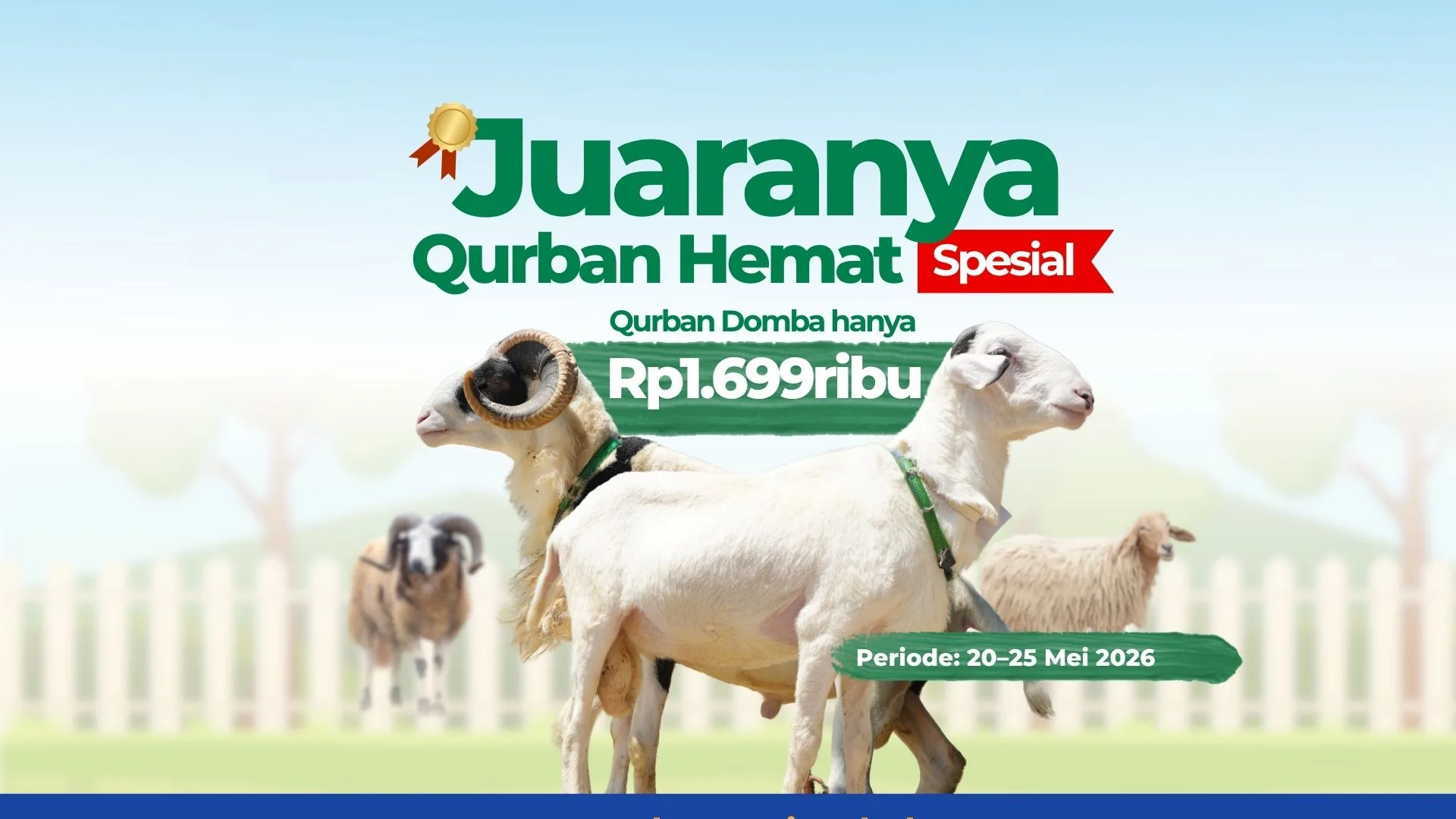 Qurban Hemat Spesial